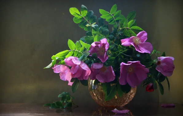 Picture leaves, branches, petals, briar, vase, flowers, Natalya Kudryavtseva