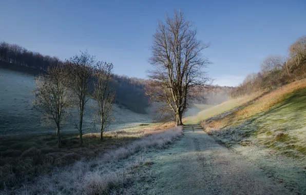 Frost, road, autumn, the sky, grass, tree, hills, morning
