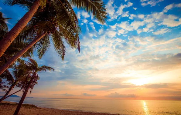 Sand, sea, beach, nature, the ocean, summer, beach, sea
