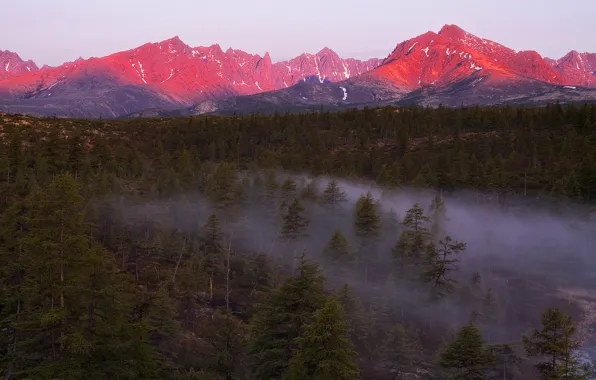Picture forest, light, sunset, mountains, fog, the evening, haze, Magadan oblast