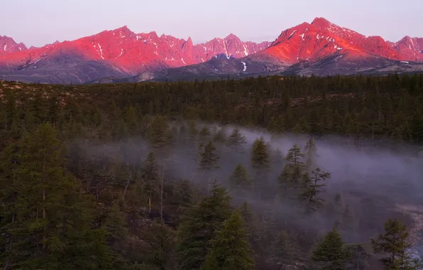 Forest, light, sunset, mountains, fog, the evening, haze, Magadan oblast