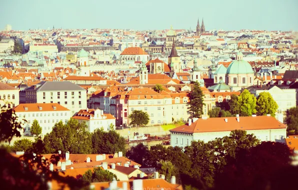 Trees, nature, the city, river, view, building, home, Czech Republic