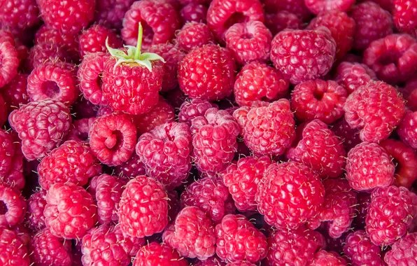 Picture raspberry, background, berry, background, berries, raspberry