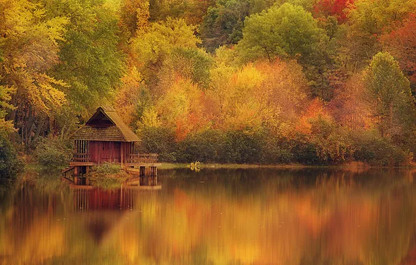 Autumn, trees, lake