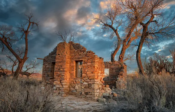 United States, Utah, abandoned house, Cottonwood Trees, Hanksville