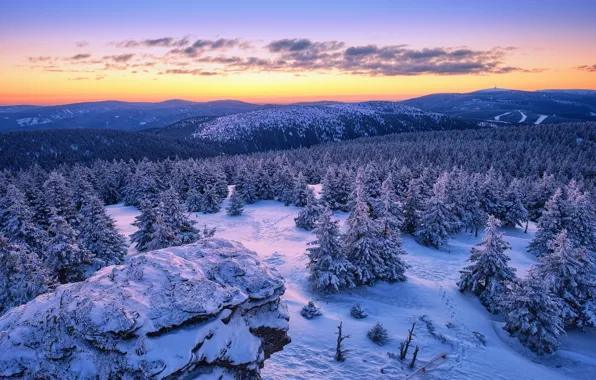Winter, forest, snow, sunset, mountains, ate, Czech Republic, Czech Republic