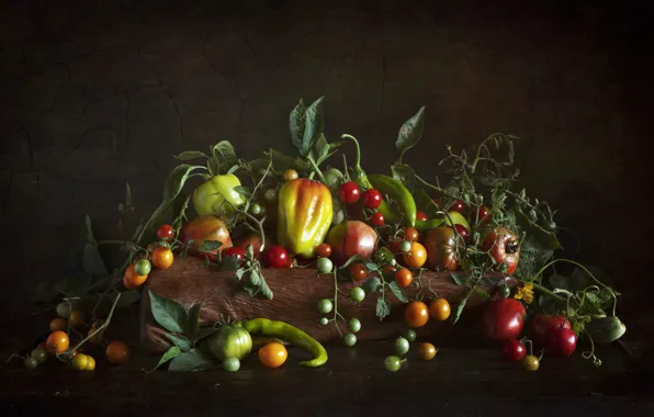Leaves, light, the dark background, table, Board, yellow, harvest, red