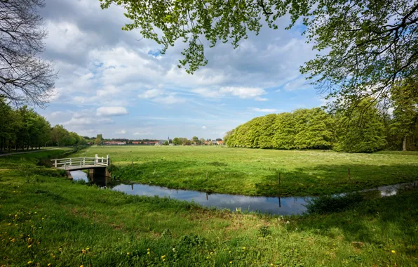 Picture road, grass, clouds, trees, branches, home, channel, Netherlands