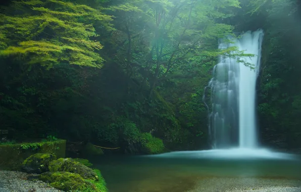 Forest, trees, waterfall, Japan, Japan, Fujinomiya, Fujinomiya, Shiraito Falls