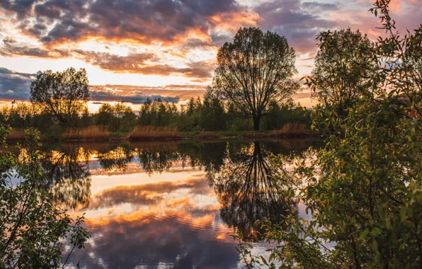 Trees, landscape, sunset, nature, pond, reflection, Vladimir Vasiliev