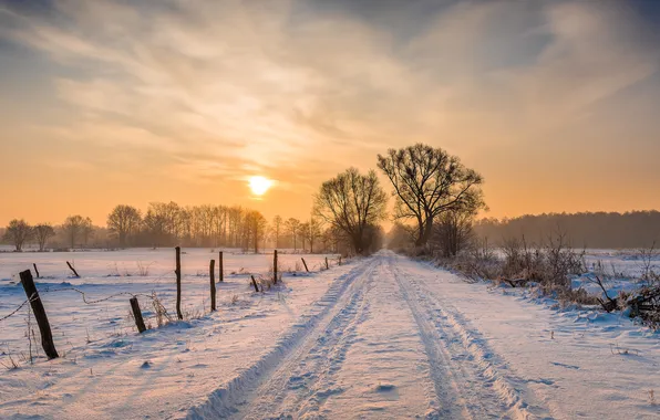 Picture winter, road, snow, trees, landscape, sunset