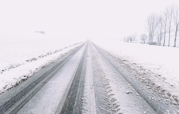 Winter, road, fog