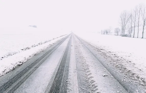 Picture winter, road, fog