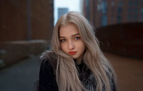 Winter, snow, tenderness, sponge, the beauty, curls, Alex Four