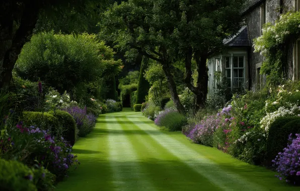 Road, greens, summer, trees, flowers, house, Park, branch