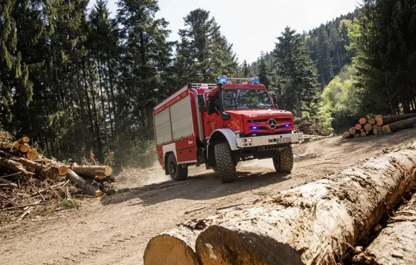 Picture forest, Mercedes-Benz, truck, logs, machinery, Unimog, U5023