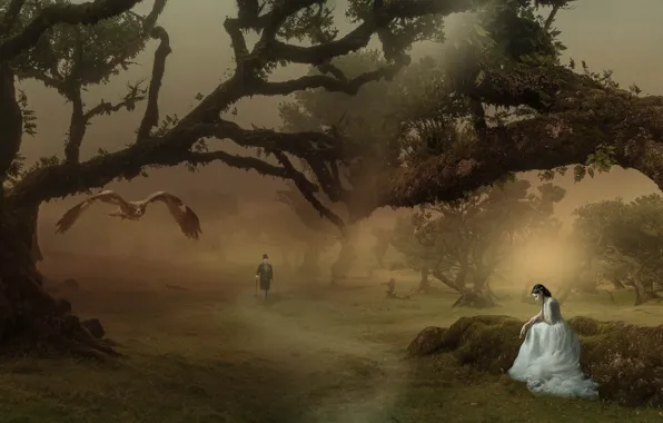 Forest, girl, trees, flight, branches, nature, pose, fog