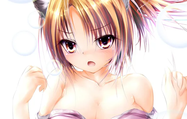 Picture chest, girl, bubbles, anime, art, ears, naked, room no yabou Nob