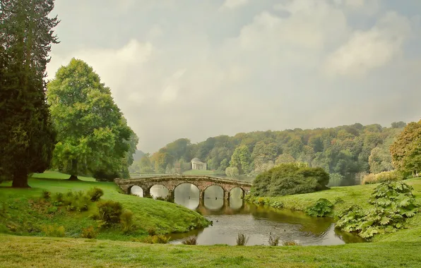The sky, grass, clouds, trees, bridge, fog, Park, duck