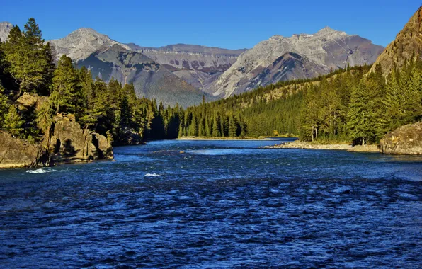 Wallpaper the sky, trees, mountains, lake
