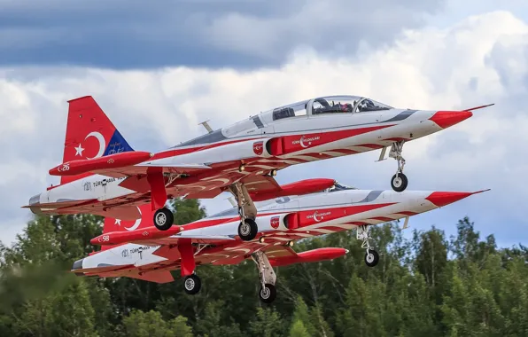 Pair, the rise, aircraft, Northrop F-5