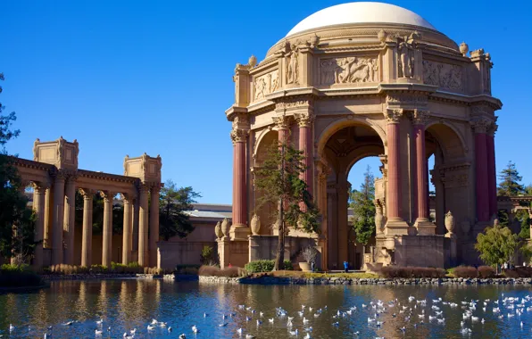 Picture birds, the city, pond, Park, CA, monument, columns, San Francisco