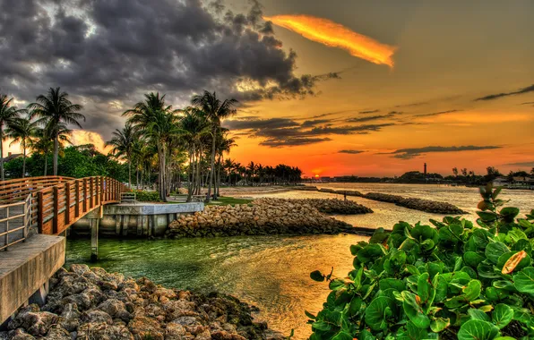 Sunset, bridge, palm trees, FL, Florida, Jupiter, Dubois Park