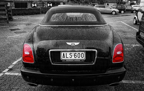 Black, Bentley, price, pristizh