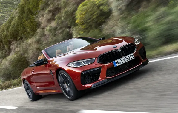 Picture road, vegetation, BMW, slope, convertible, 2019, BMW M8, M8