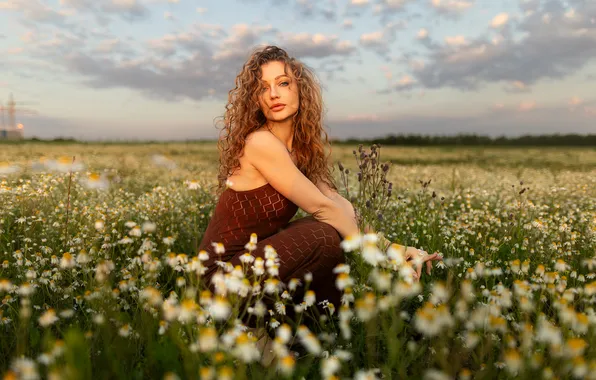 Picture summer, look, girl, flowers, pose, chamomile, meadow, curls