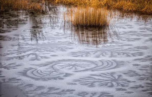 Picture ice, pattern, The nature's paintbrush