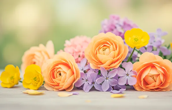 Flowers, bouquet, petals, pastel