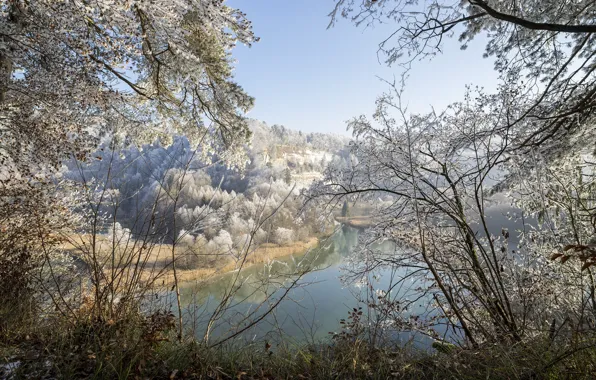 Winter, forest, snow, pond