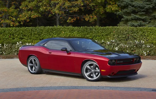Picture Tuning, With Scat Design, Dodge Challenger RT
