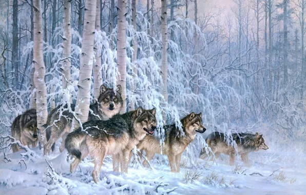 Winter, frost, forest, snow, branches, wolf, pack, picture