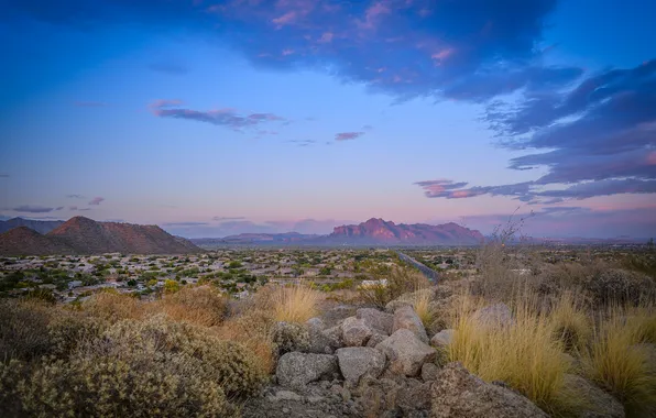 Picture mountains, nature, desert, Arizona, Mesa