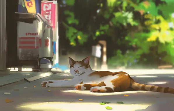 Stay, sleep, spotted cat, on the road, in the shadows, summer day, by Snatti