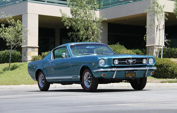 Picture Mustang, Ford, front view, Ford Mustang GT Fastback