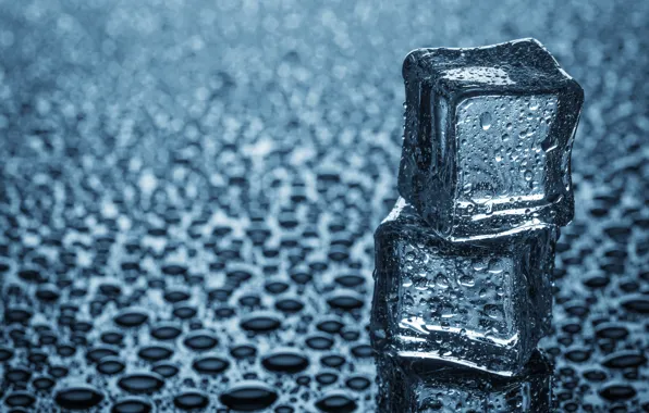 Ice, drops, cubes