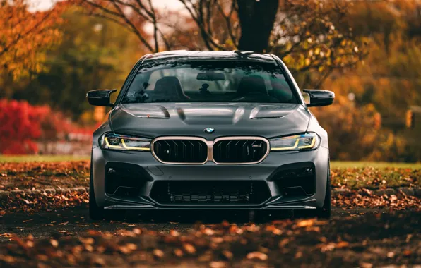 Autumn, Leaves, F90, M5 CS