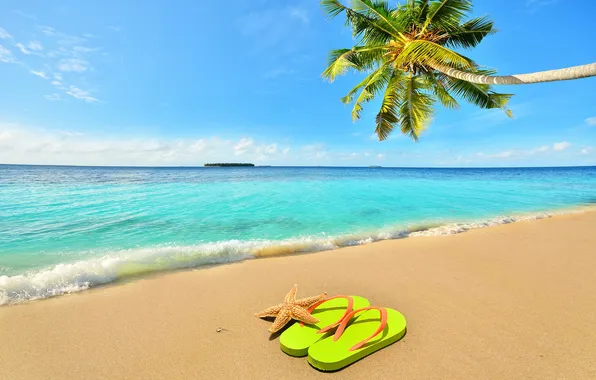 Beach, Sea, vacation