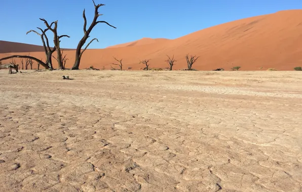 Sand, desert, Africa, Namibia