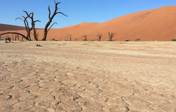 Picture sand, desert, Africa, Namibia