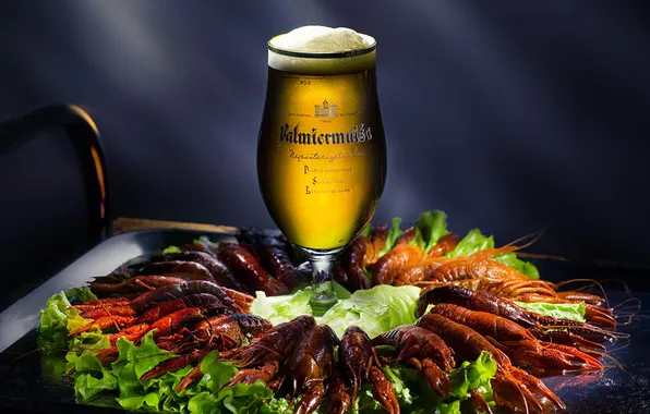 Table, Beer, Glass, Background, Still life, Cancers