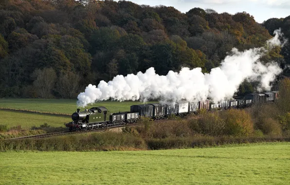 Nature, smoke, train, the engine, cars