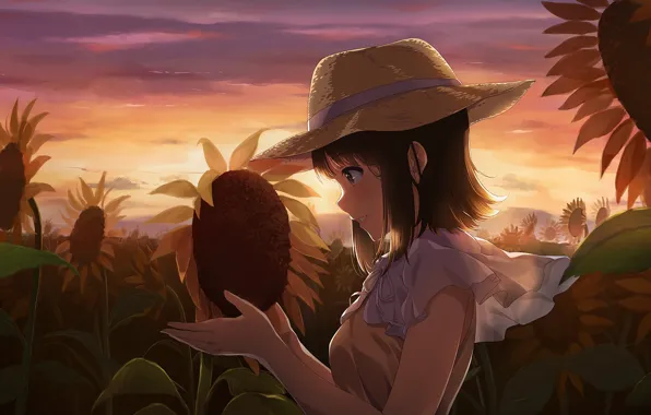 Field, sunflowers, the evening, girl
