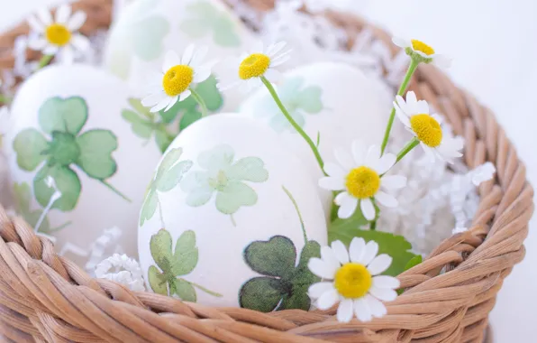 Chamomile, eggs, Easter, Holiday