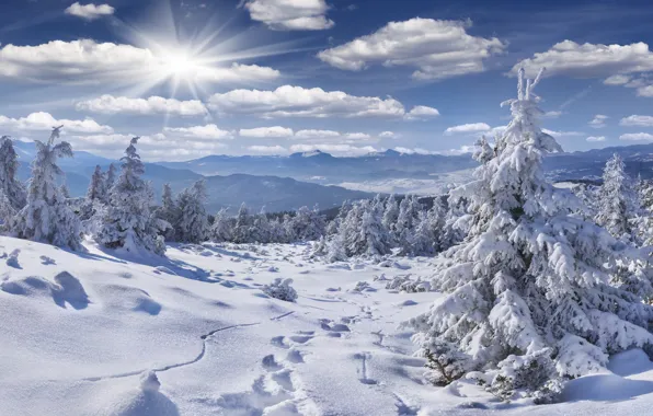 Picture winter, forest, the sky, the sun, clouds, rays, snow, mountains