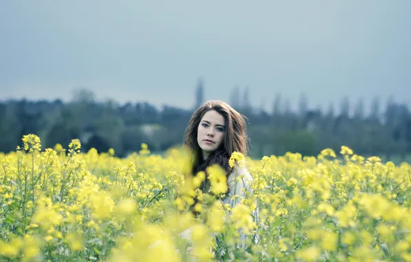 Field, girl, rape