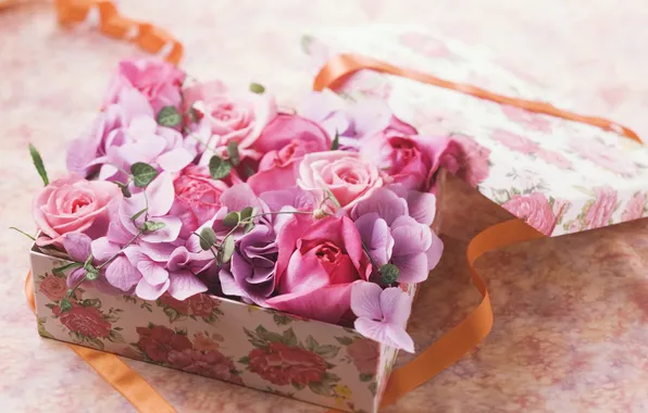 Flowers, box, orange, tape, pink, ribbon, lilac, raspberry
